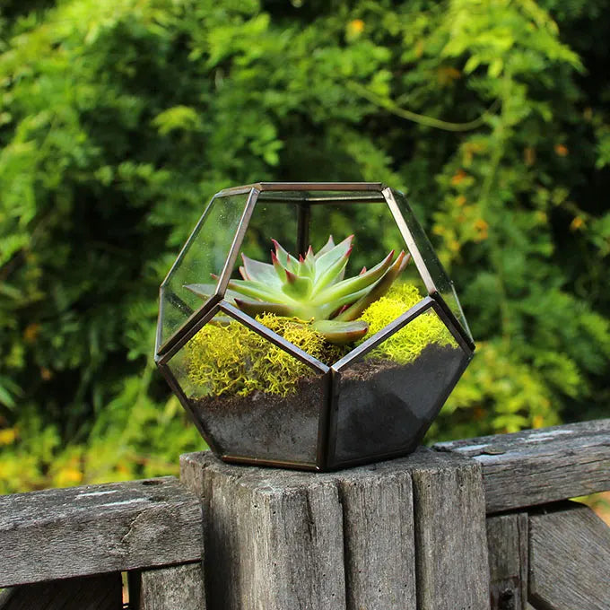 Vase avec fleur posé sur une barrière en bois dans un jardin