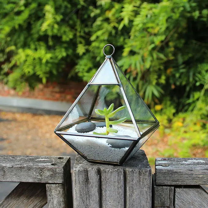 Terrarium géométrique sur une clôture en bois.