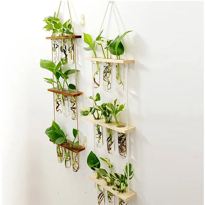 Vase tubes suspendu à un mur avec des plantes vertes