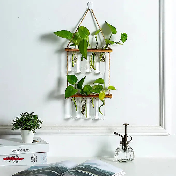 Vase tubes suspendu à un mur dans une pièce de vie avec des plantes vertes