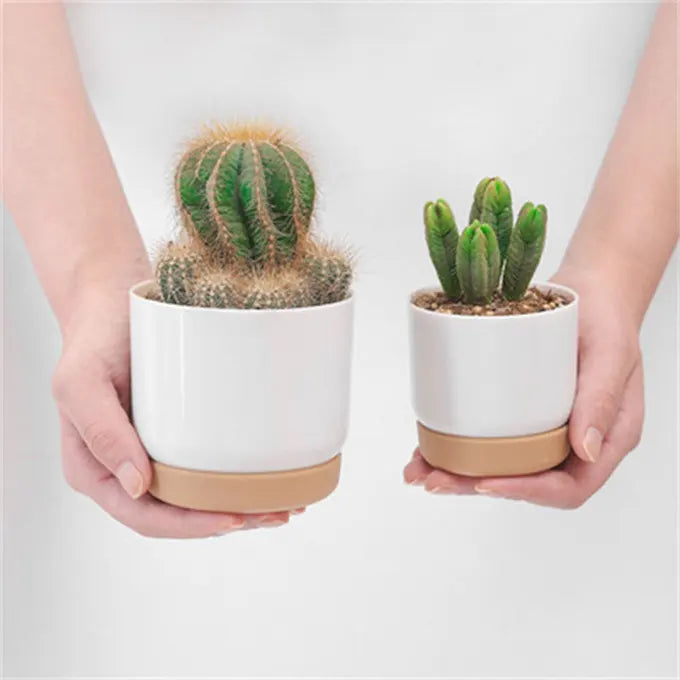 Personne qui porte 2 pots de fleurs avec cactus