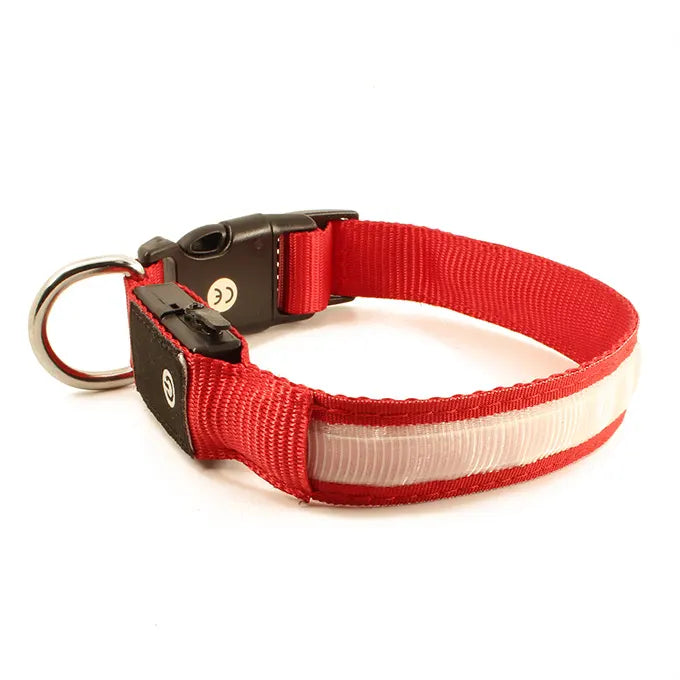 Collier pour chien rouge sur fond blanc