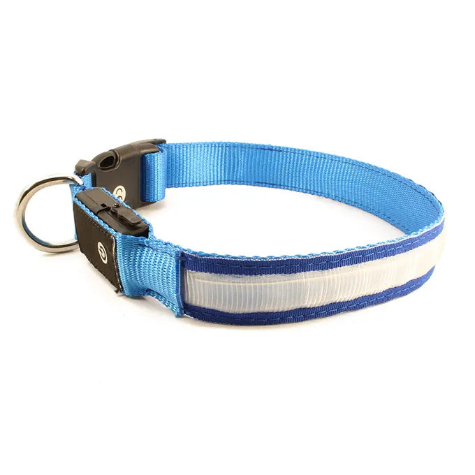 Collier pour chien bleu sur fond blanc