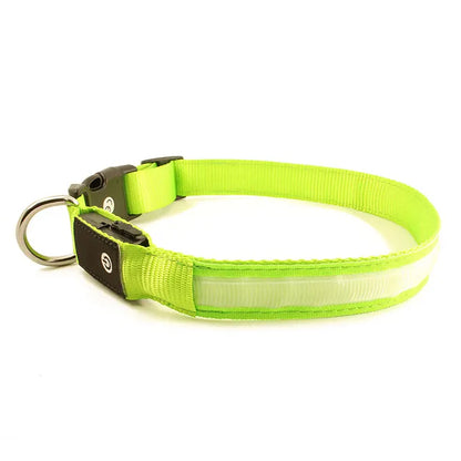 Collier pour chien jaune sur fond blanc