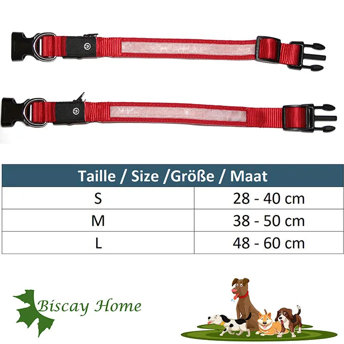 Table des tailles du collier pour chien rouge