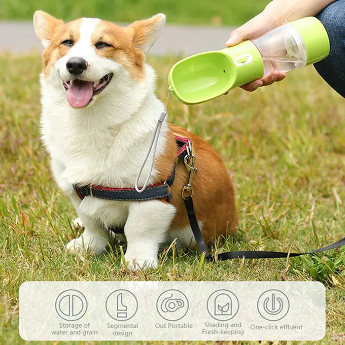 Distributeur de croquette et d'eau avec un chien dans un parc