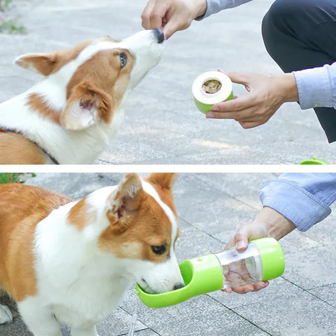 Distributeur de croquette et d'eau, démonstration d'utilisation avec un chien à 