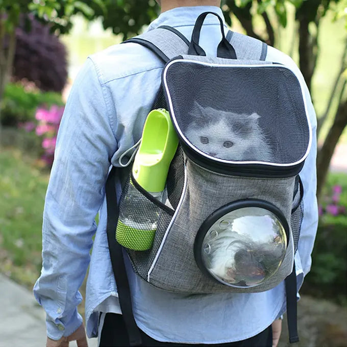 Distributeur de croquette et d'eau, avec un chat dans un sac