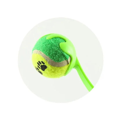 Zoom sur le lanceur balle vert pour chien