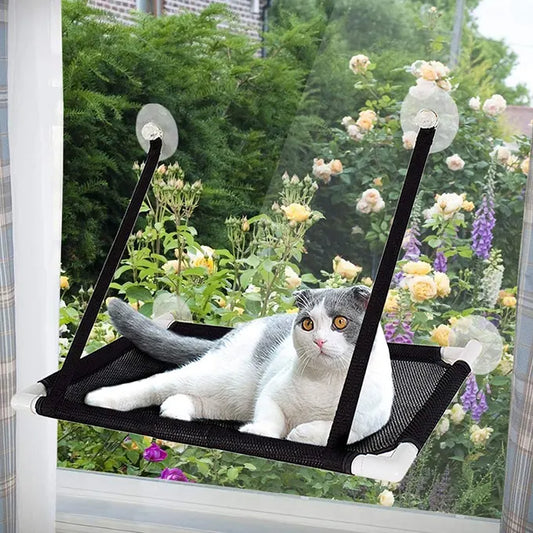 Chat dans son lit contre une fenêtre avec jardin